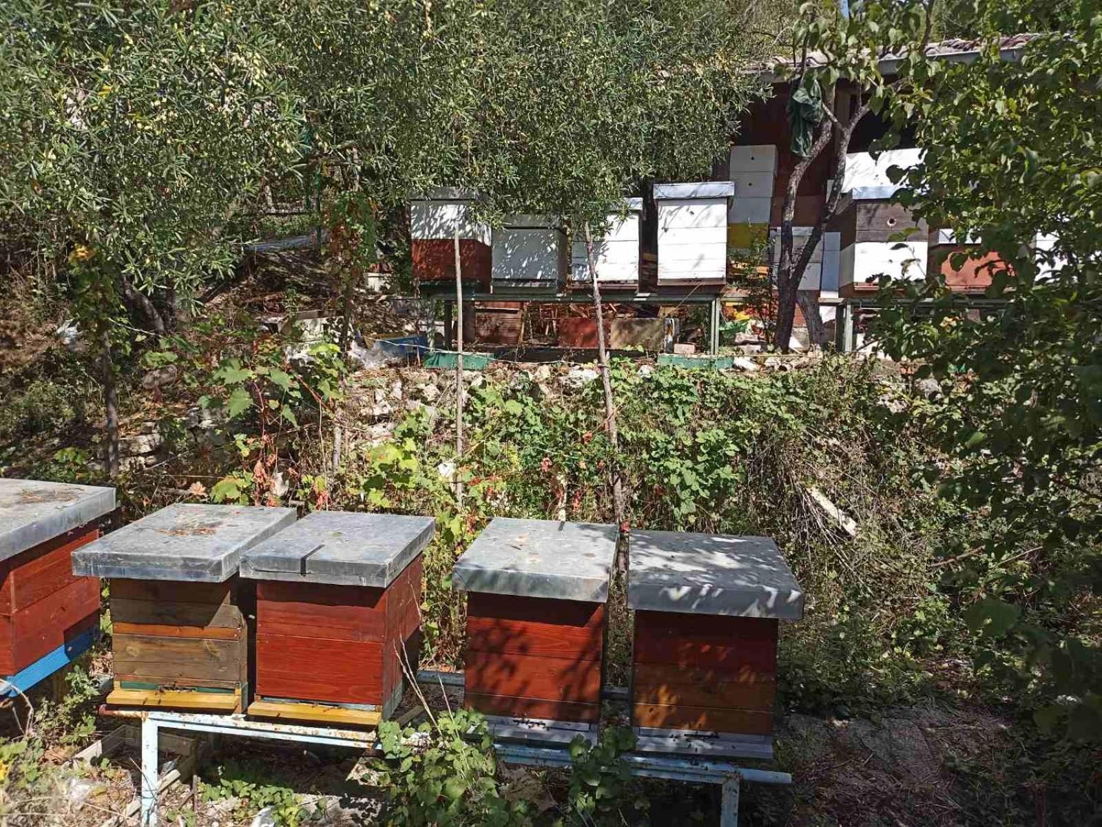 Отель Kamp Seosko Domacinstvo Radman Херцег-Нови Экстерьер фото